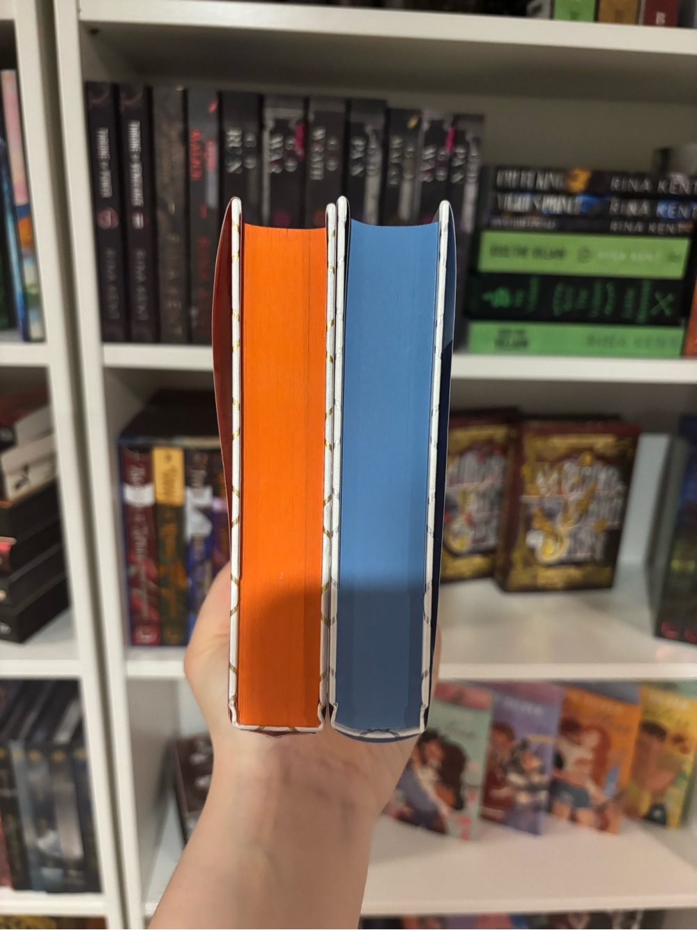 Fire in the Sky & A Scar in the Bone - Sophie Jordan Duo Fairyloot - Picture 4 of 4